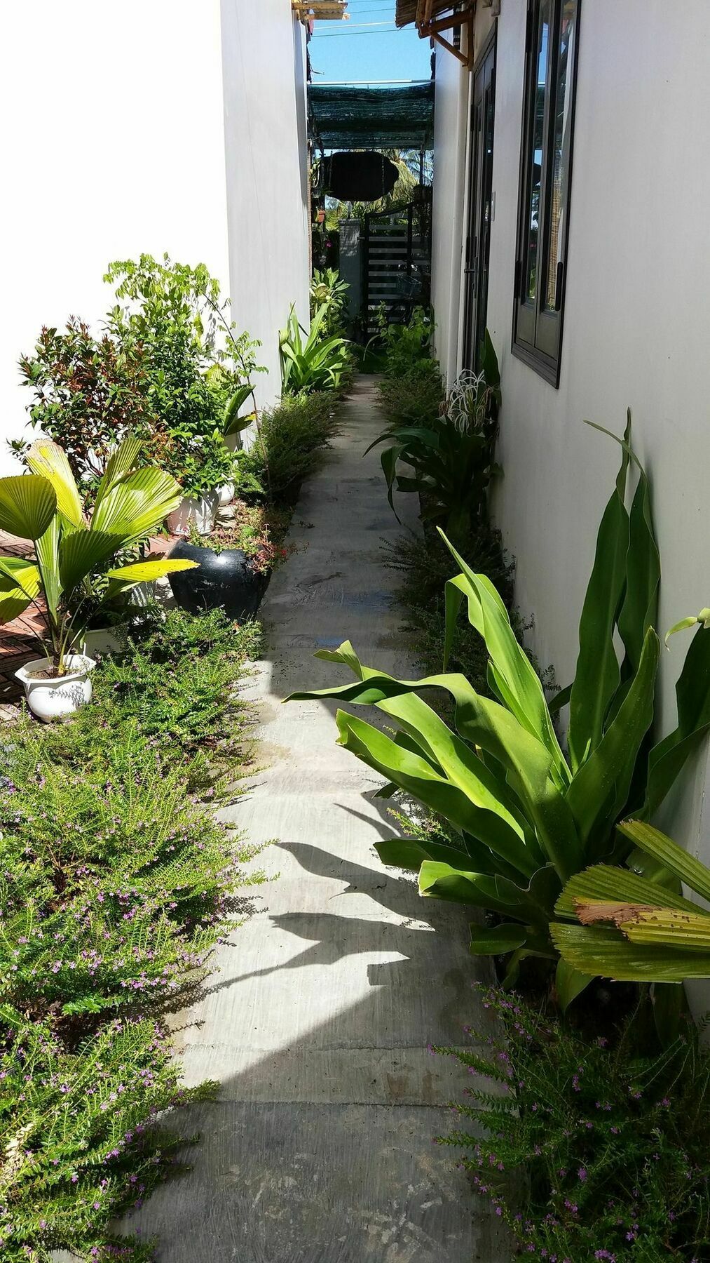 Lido Villa Hội An Kültér fotó