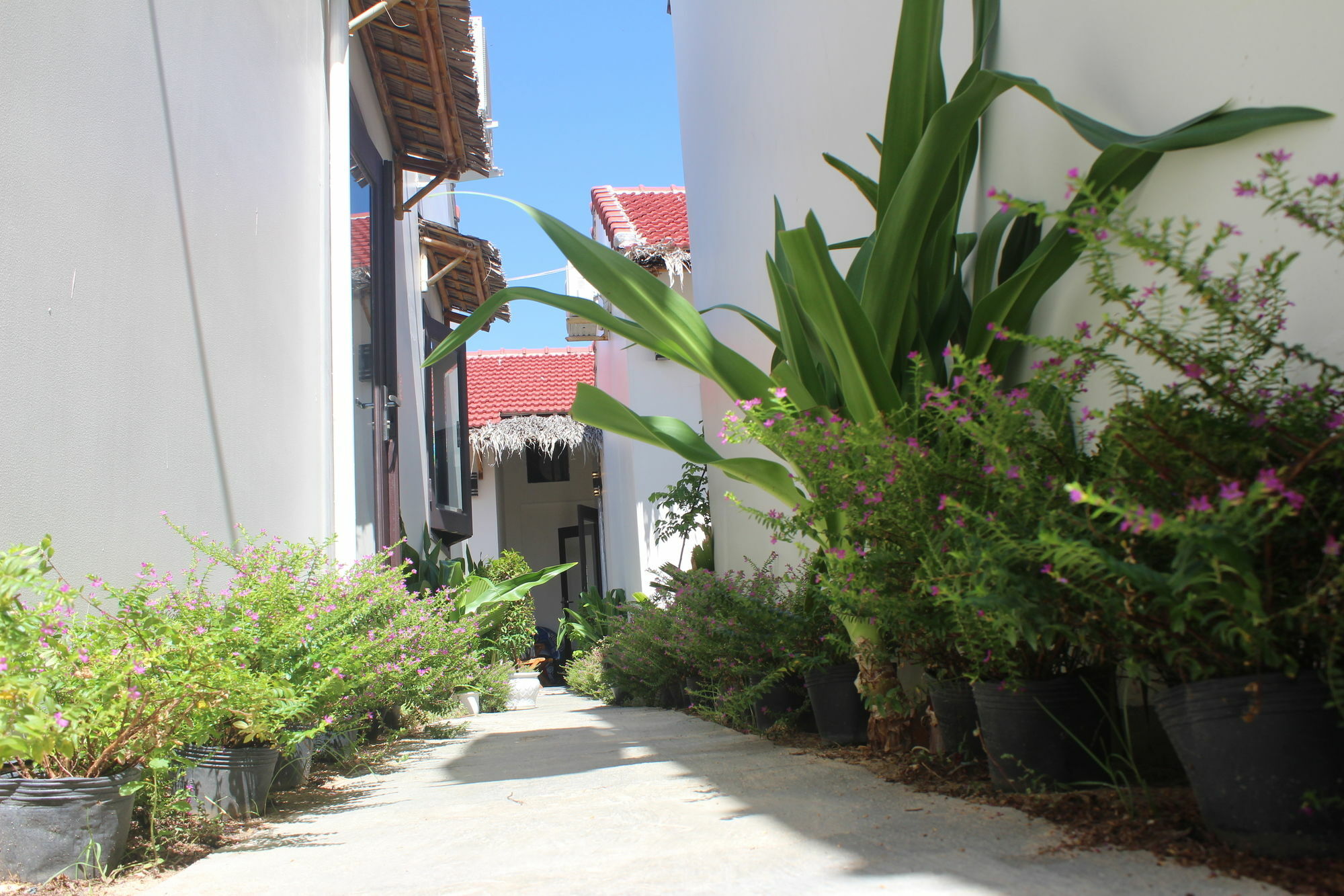 Lido Villa Hội An Kültér fotó